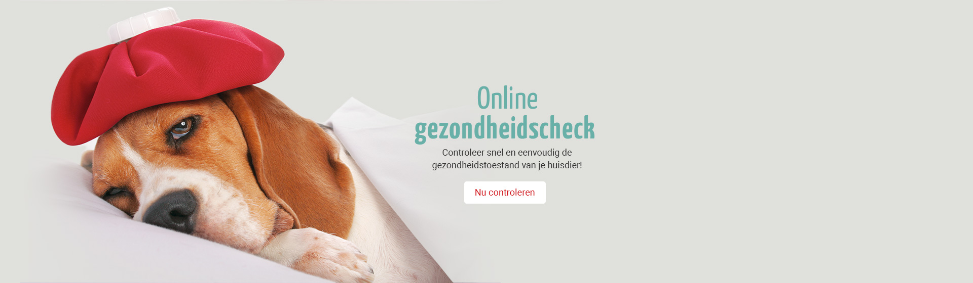 Online Gesundheits-Check